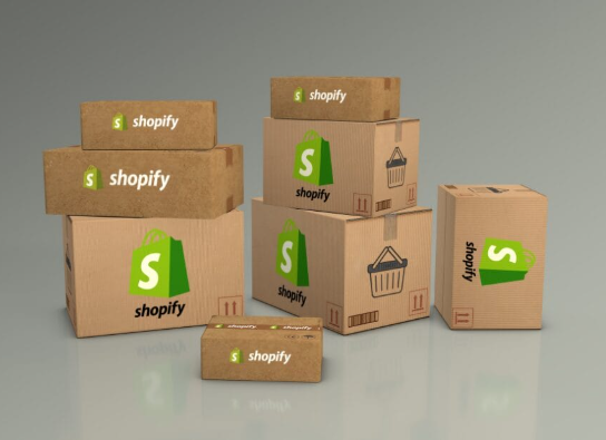 shopify dropshipping agency