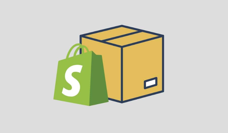 Shopify Dropshipping For Beginners