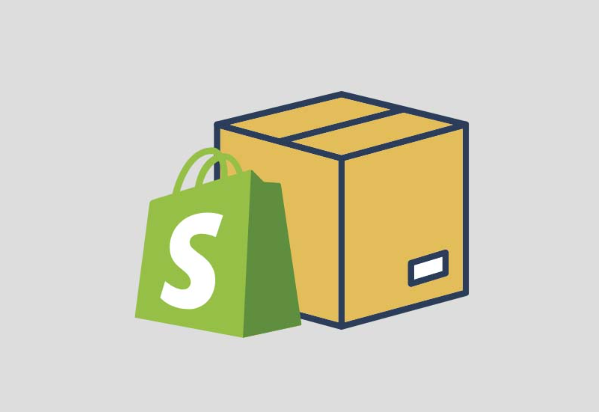 Top Shopify Dropshippers